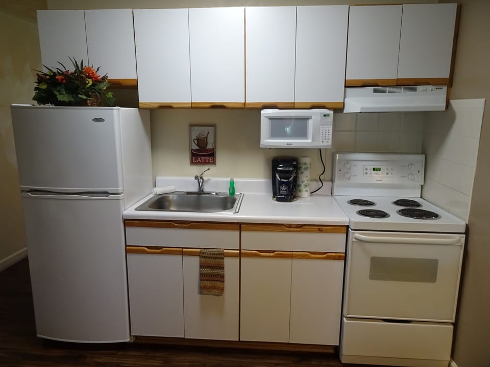 Full-size fridge, microwave, oven, stovetop