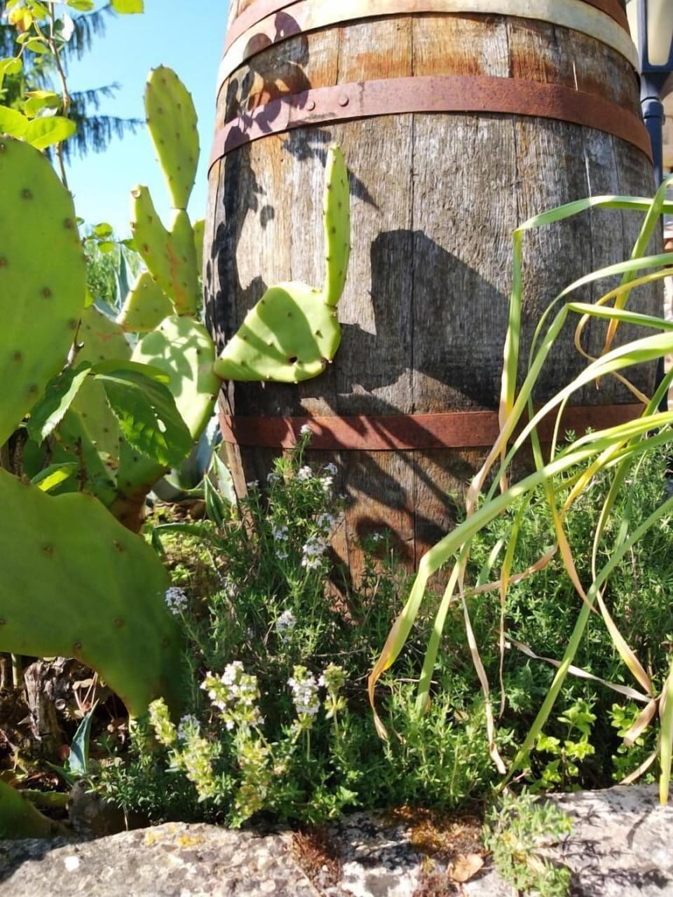 La Borieta Bed and Breakfast in Occitanie