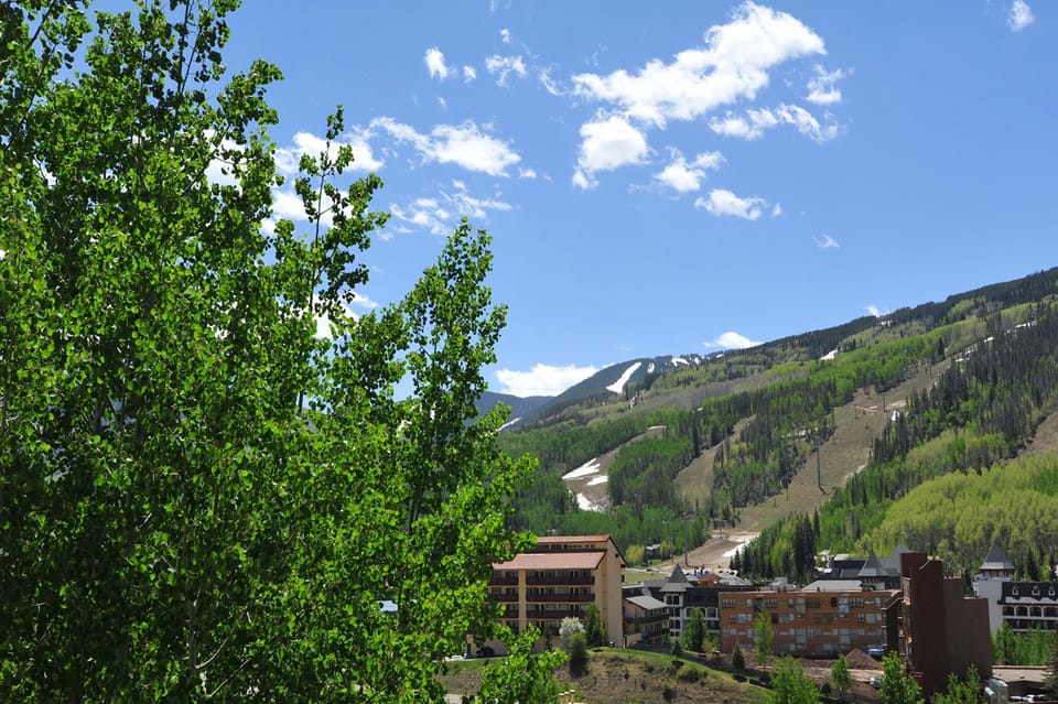 Condo, 3 Bedrooms | Ski hill