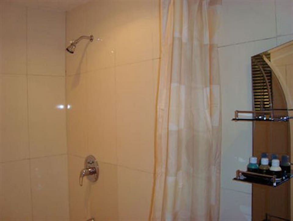 Shower, rainfall showerhead, free toiletries, towels