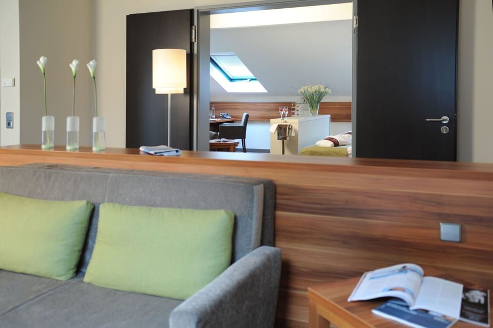 Superior Suite, 1 Double Bed | Living area | 26-inch plasma TV with satellite channels, Smart TV, pay movies