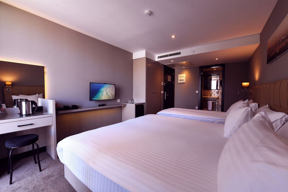 Triple Room | Minibar, in-room safe, desk, laptop workspace