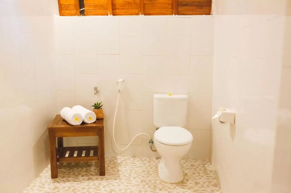 Shower, free toiletries, towels