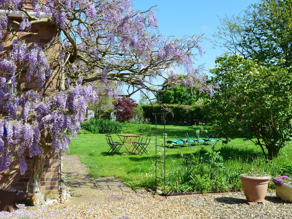 Cottage | Property grounds