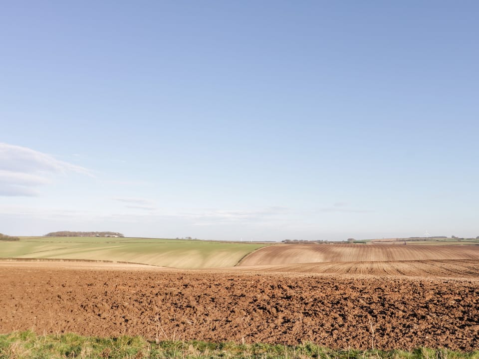 Cottage | Miscellaneous