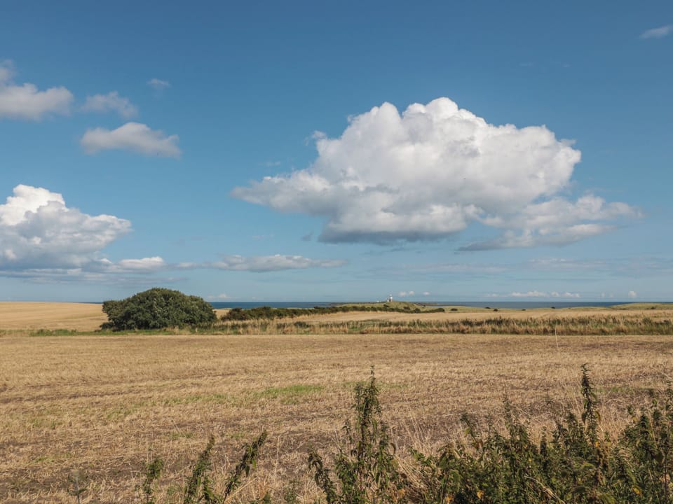 Cottage | Miscellaneous