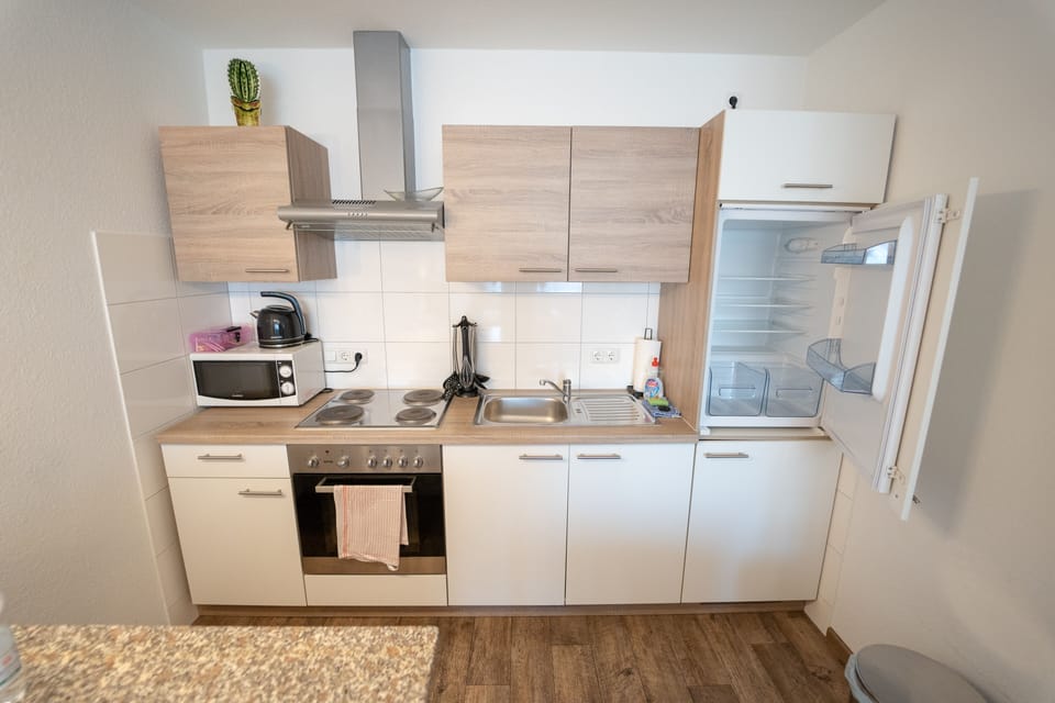 Standard Apartment | Private kitchen | Coffee/tea maker, fridge, microwave, oven