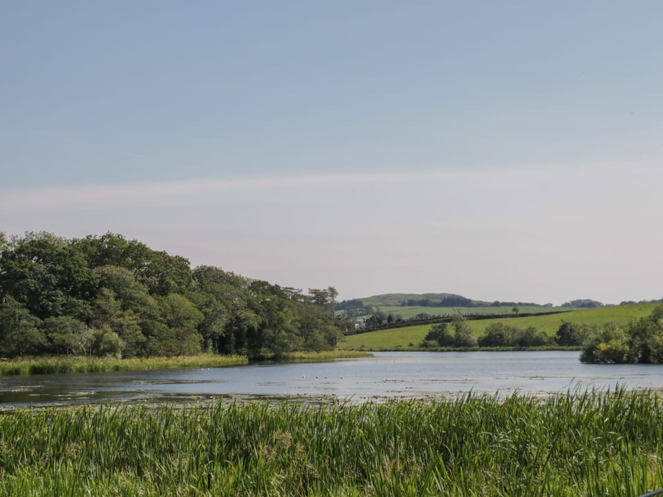 Cottage | Miscellaneous