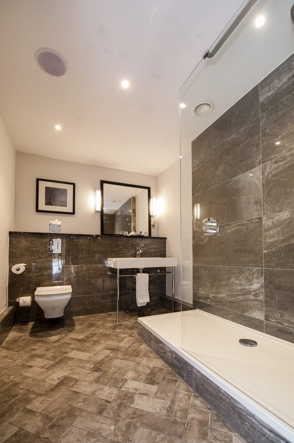 Combined shower/tub, hair dryer, towels