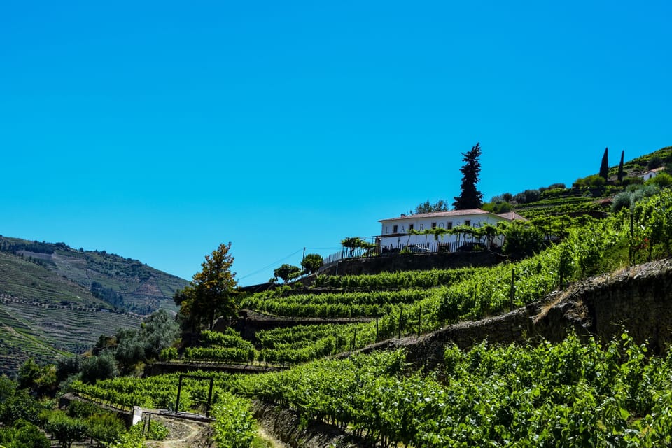 Quinta de la Rosa Farm Stay in Vila Real District