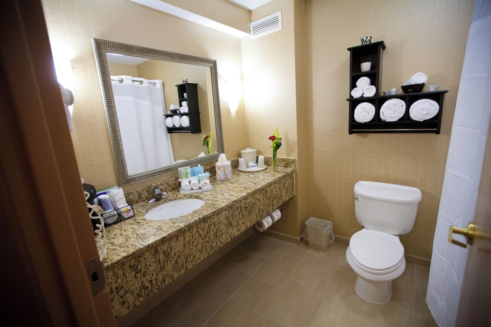 Hair dryer, towels