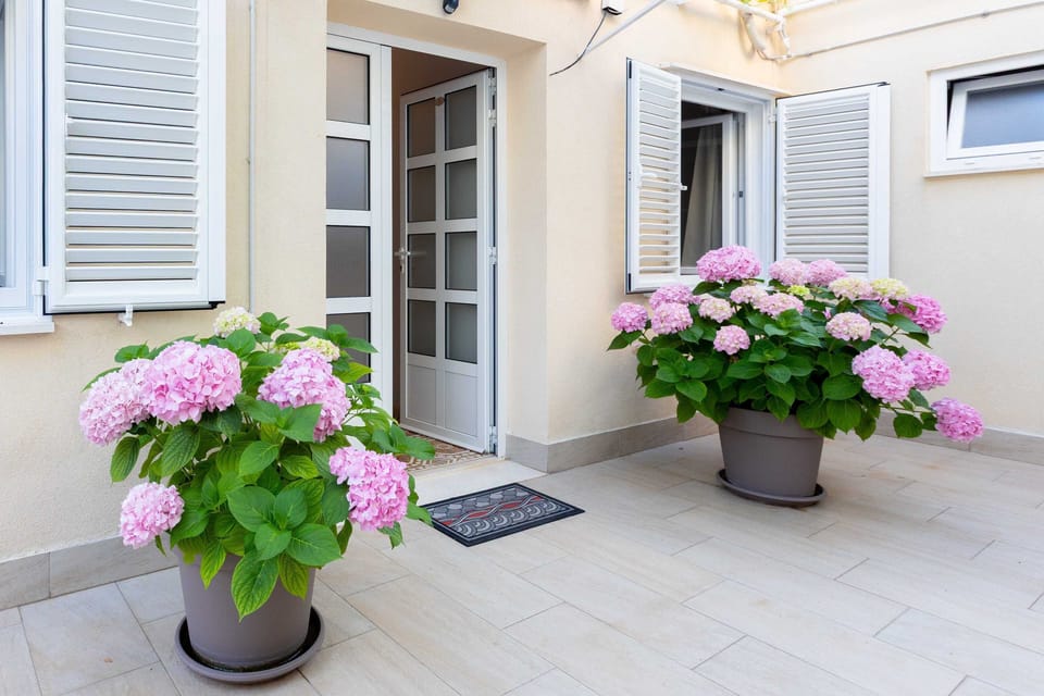Double Room (Standard Double Room-2) | Terrace/patio