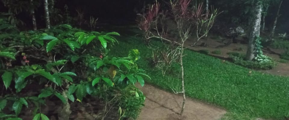 Villa, 1 Bedroom, Smoking, Balcony | Garden