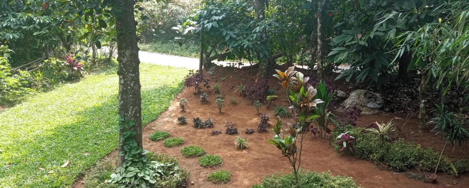 Villa, 1 Bedroom, Smoking, Balcony | Garden