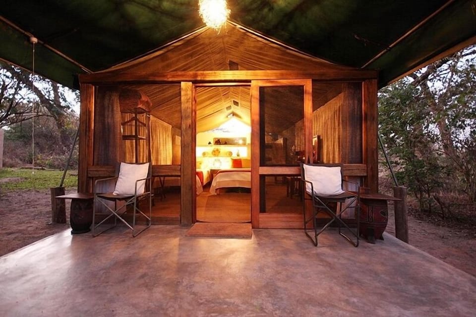 Tent (Family Forest Tent) | Terrace/patio