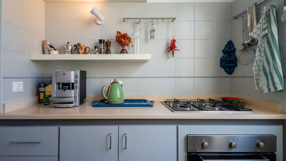 Apartment, 1 Double Bed with Sofa bed, Balcony, City View | Private kitchen | Full-size fridge, microwave, oven, stovetop