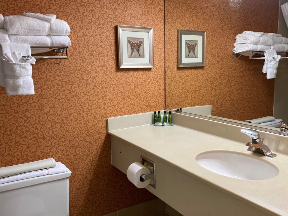 Free toiletries, hair dryer, towels