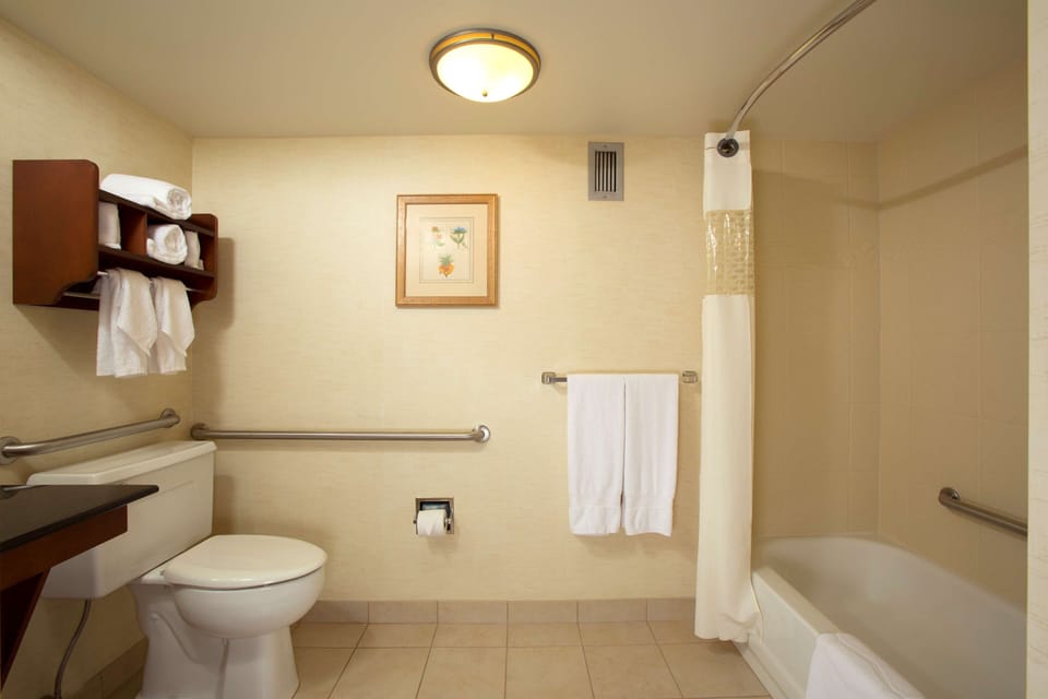 Room, 1 King Bed, Accessible, Non Smoking | Bathroom | Combined shower/tub, free toiletries, hair dryer, towels