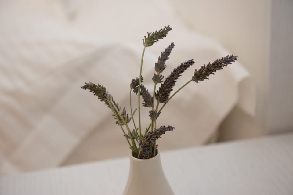 Fridge, stovetop, coffee/tea maker, electric kettle