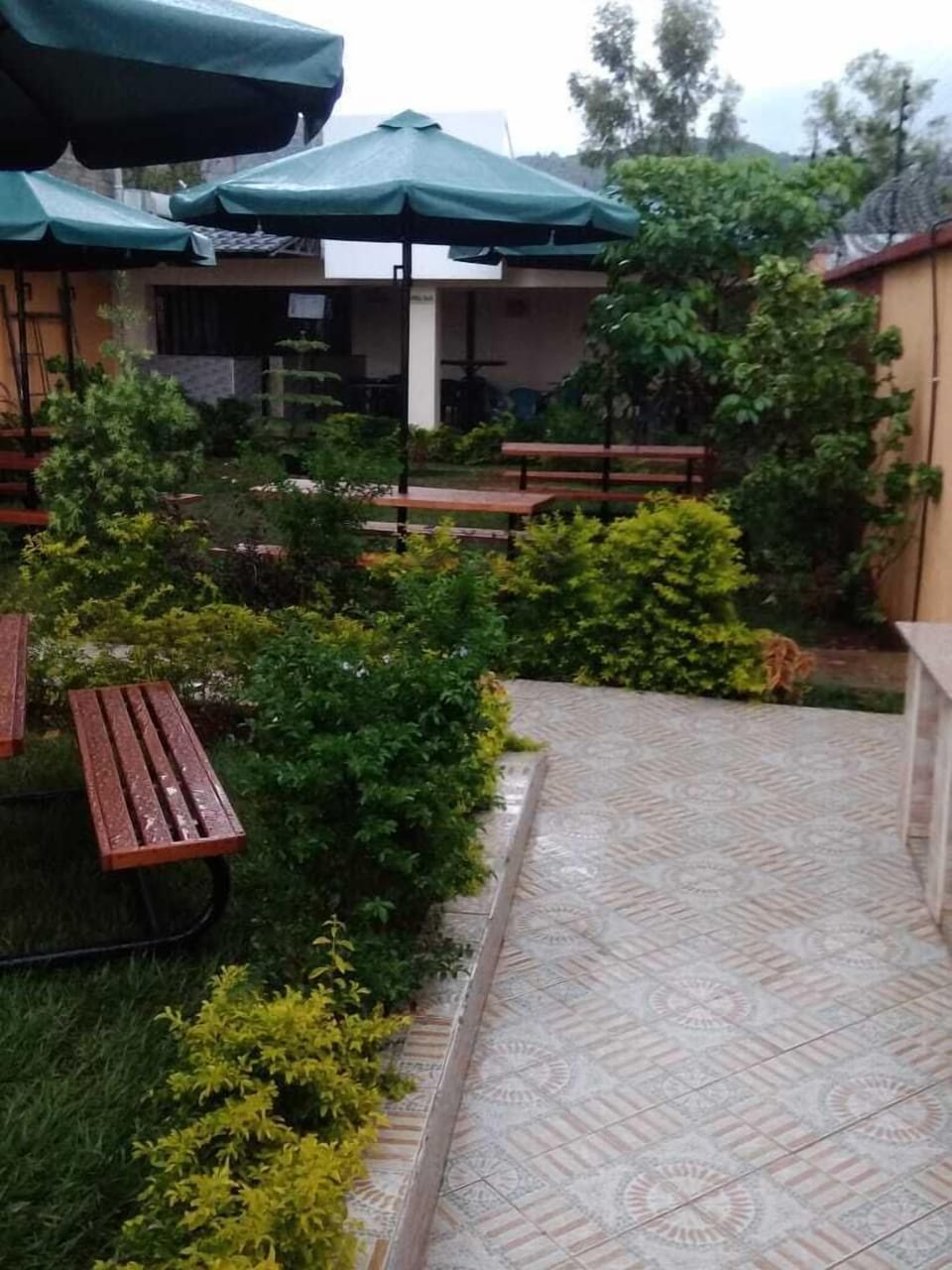 Divine Homes Resort Hotel in Kenya