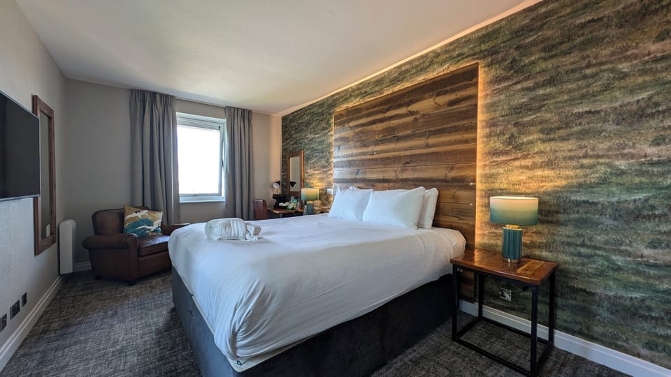 Deluxe Double Room, 1 King Bed | Desk, iron/ironing board, free WiFi, bed sheets