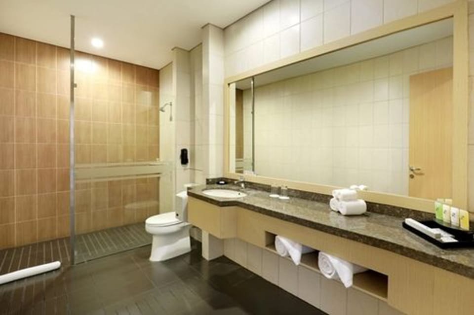 Executive Room | Bathroom | Shower, free toiletries, hair dryer (on request), slippers