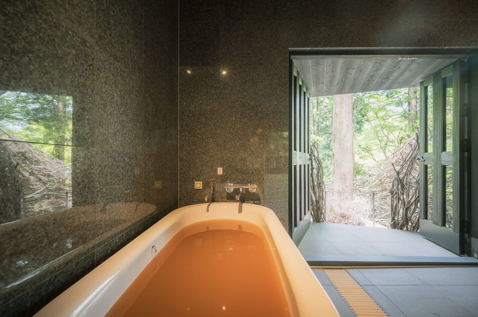 Premium Room | Bathroom | Separate tub and shower, spring water tub, free toiletries, hair dryer