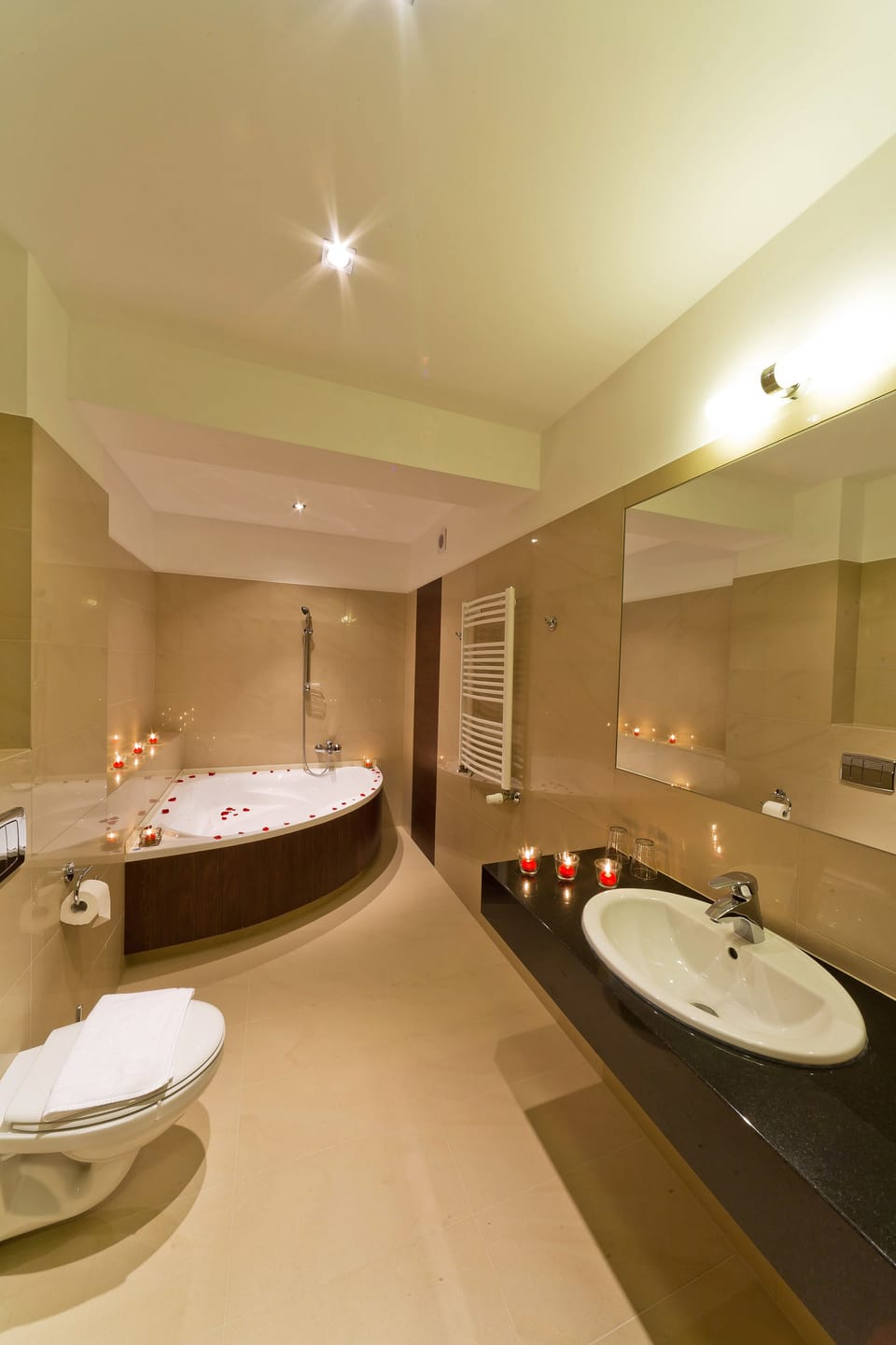 Suite | Bathroom | Free toiletries, hair dryer, towels