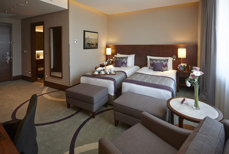Standard Room, 2 Twin Beds | Minibar, in-room safe, desk, soundproofing
