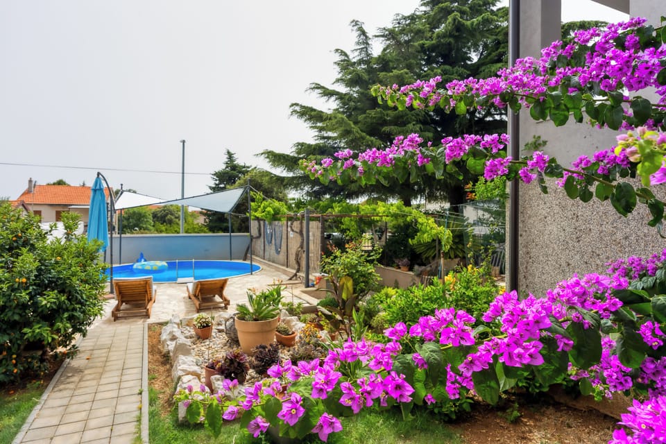 Family Apartment, 3 Bedrooms, 2 Bathrooms (Pool Apartment Bakija) | Exterior