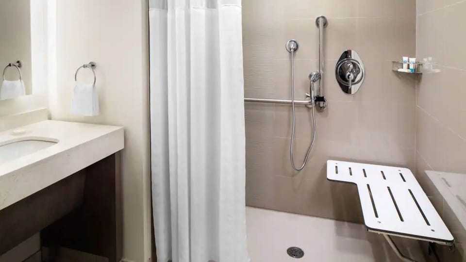 Room, 1 King Bed with Sofa bed, Accessible (Roll-In Shower) | Bathroom | Free toiletries, hair dryer, towels, soap