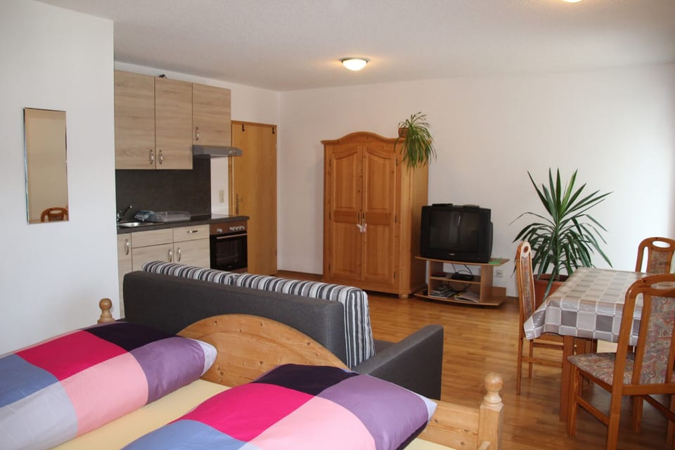 Apartment | Living area | TV