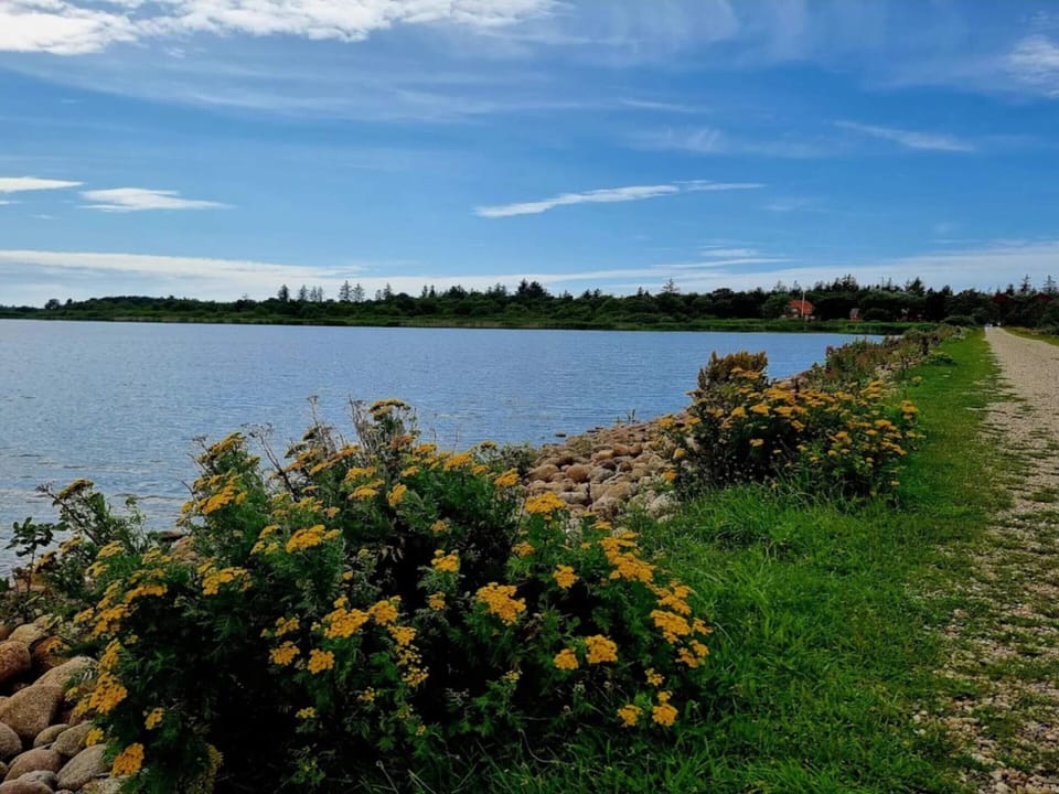 House | Water view