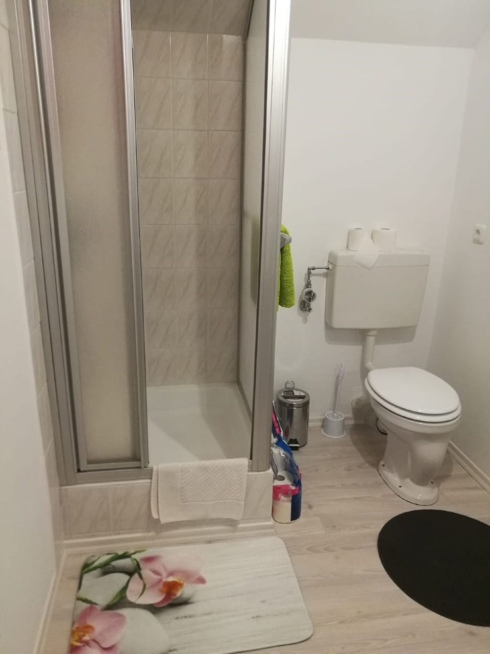 Apartment | Bathroom | Shower, hair dryer, towels