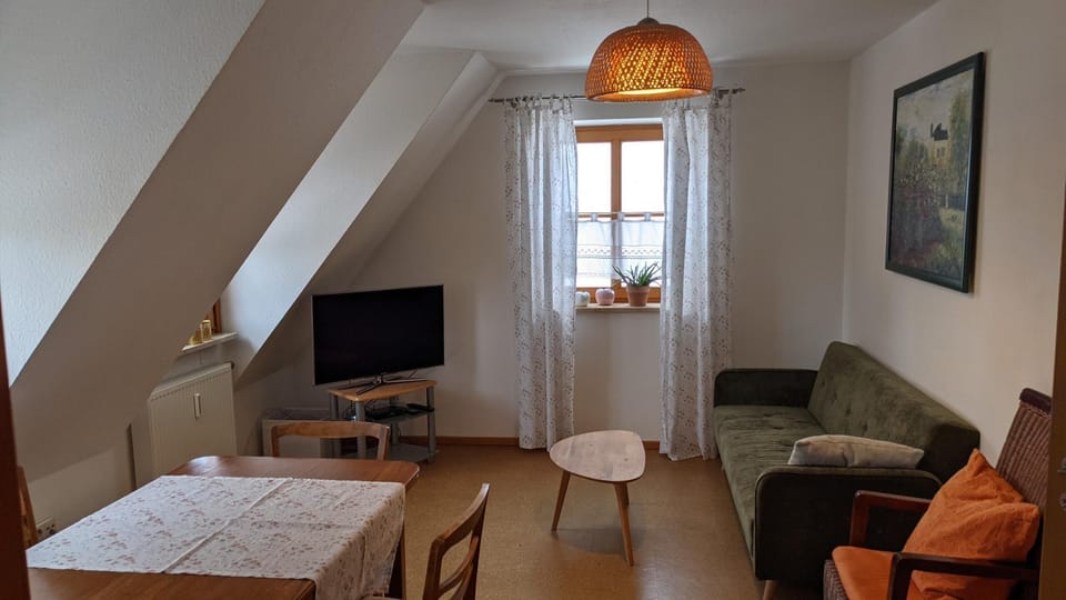 Apartment | Living area | 20-inch TV with satellite channels