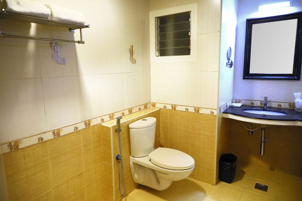Shower, hair dryer, bidet, towels