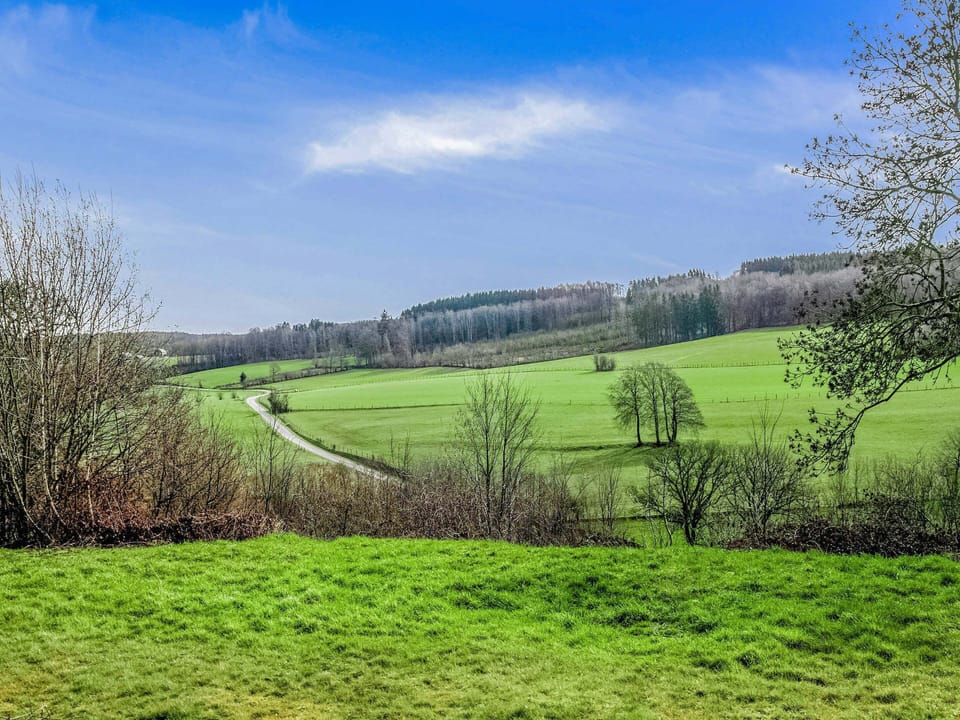 House | View from property