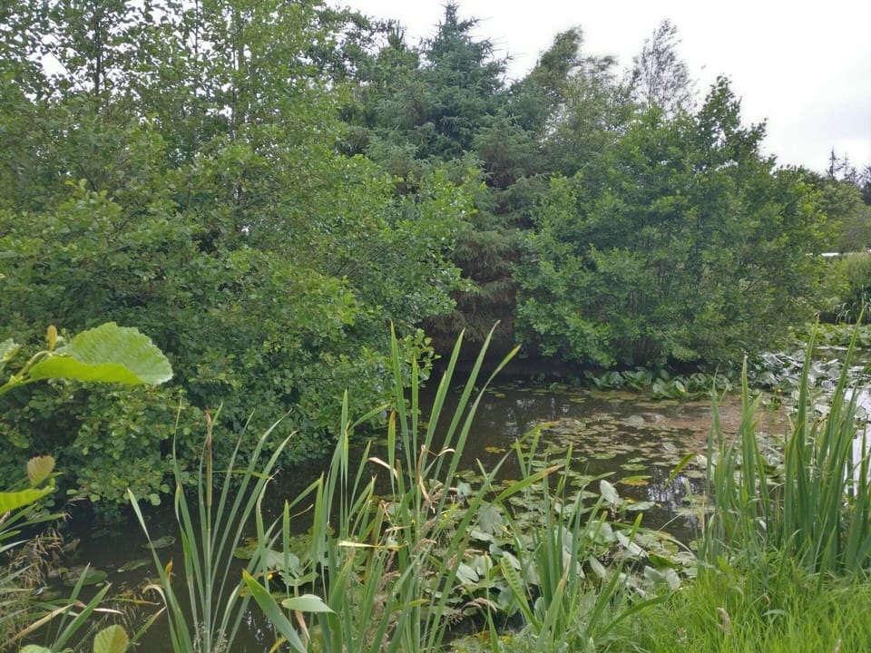 House | Water view