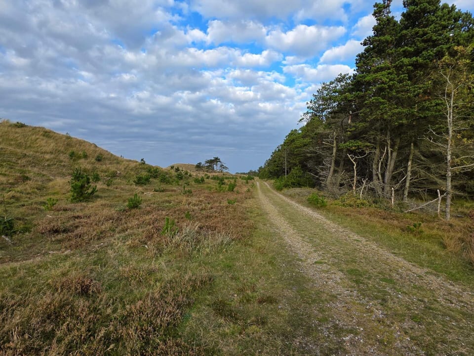 House | Water view