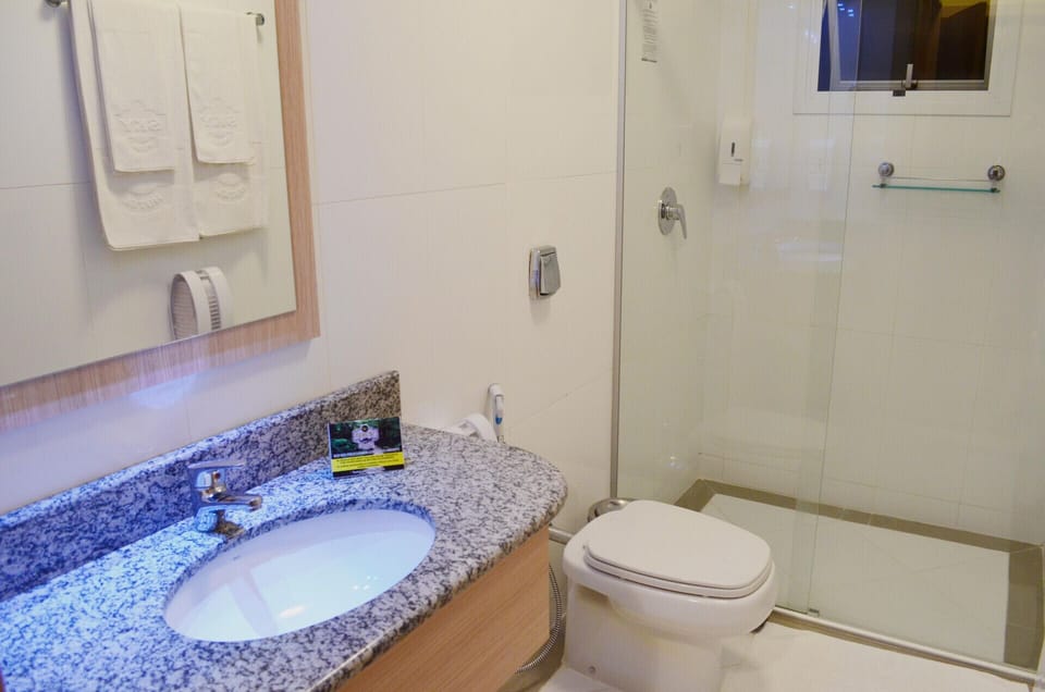 Shower, hair dryer