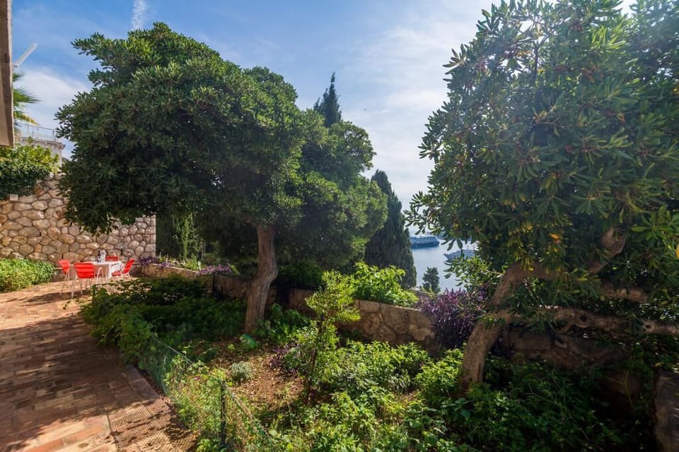 Apartment (Apartment Charming Arena - One Bedroo) | Terrace/patio