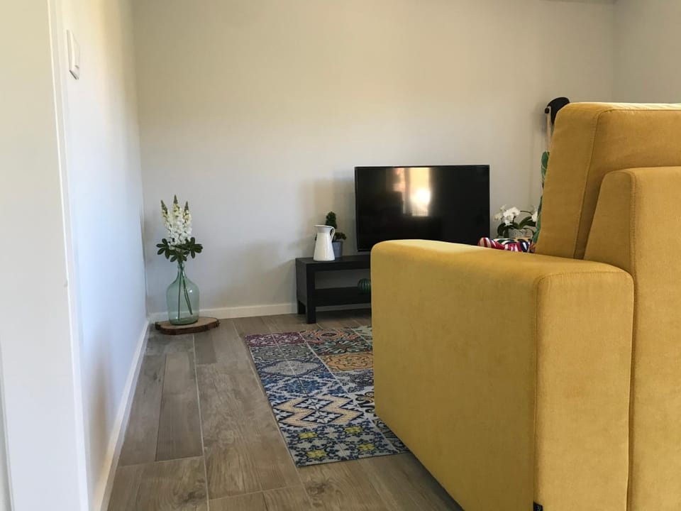 Flat-screen TV