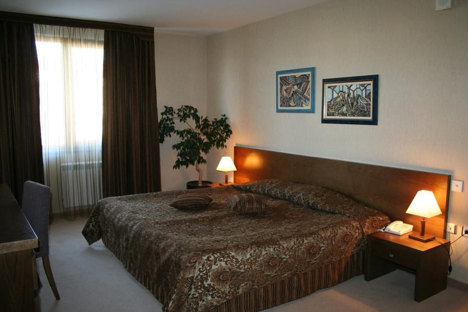 Minibar, soundproofing, iron/ironing board, free WiFi