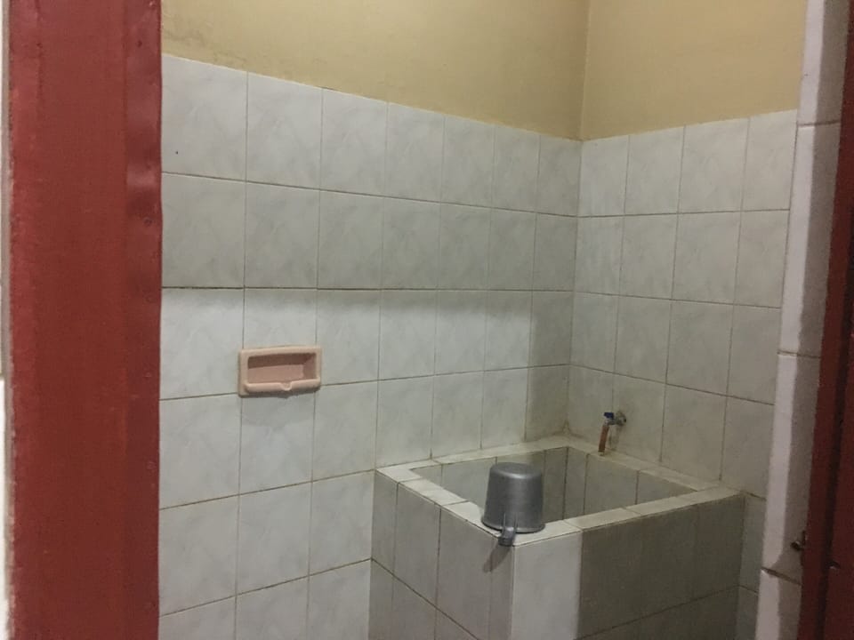 Economy Room | Bathroom | Shower, free toiletries, towels