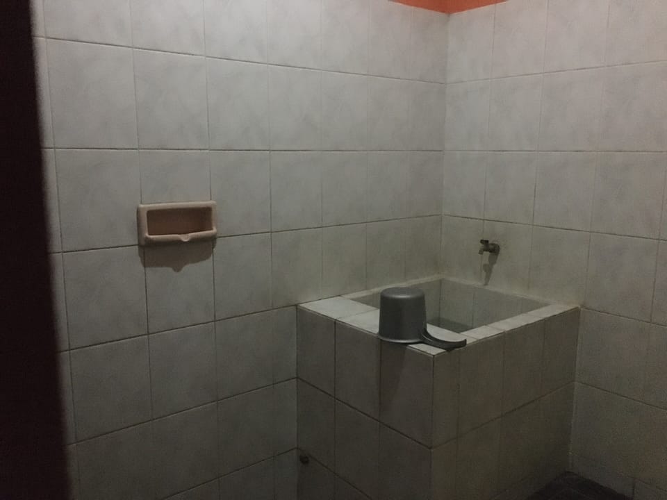 Economy Room | Bathroom | Shower, free toiletries, towels