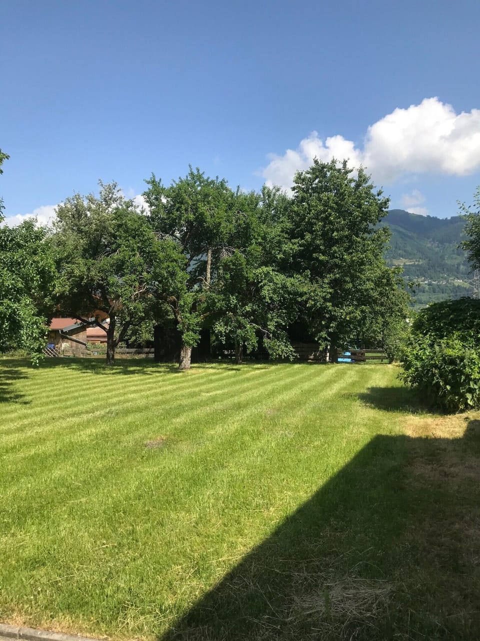 House | Garden view