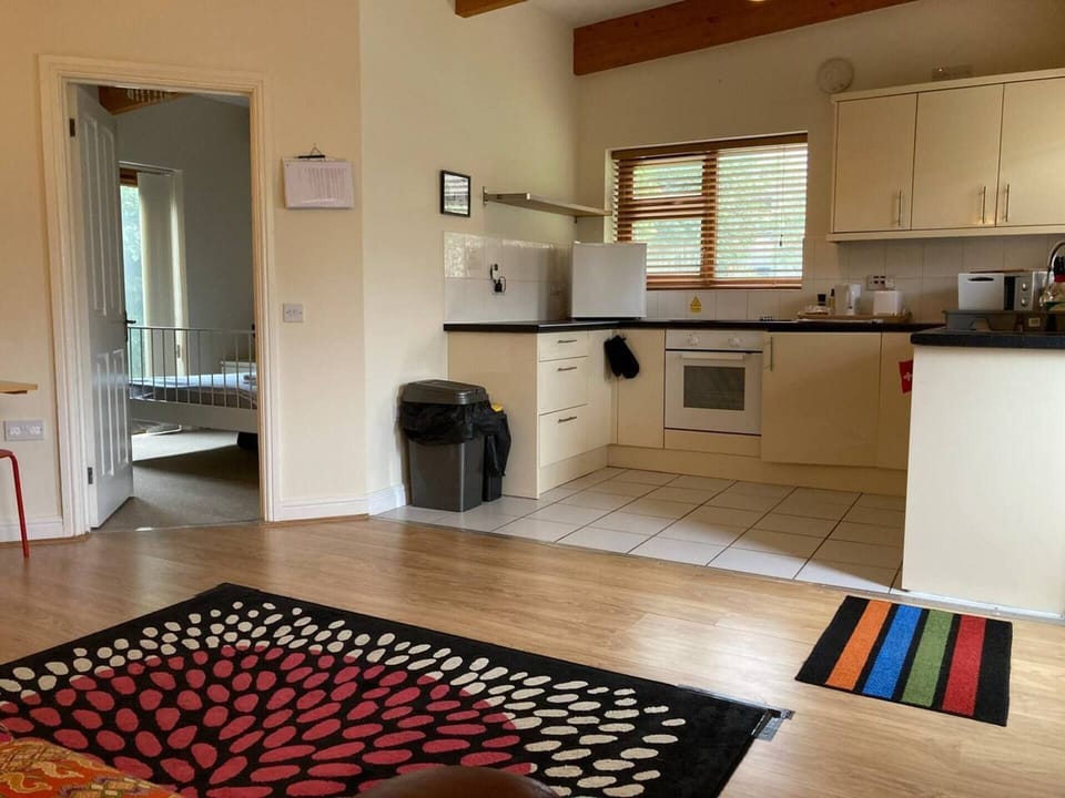 Apartment | Private kitchen | Fridge, microwave, oven, stovetop