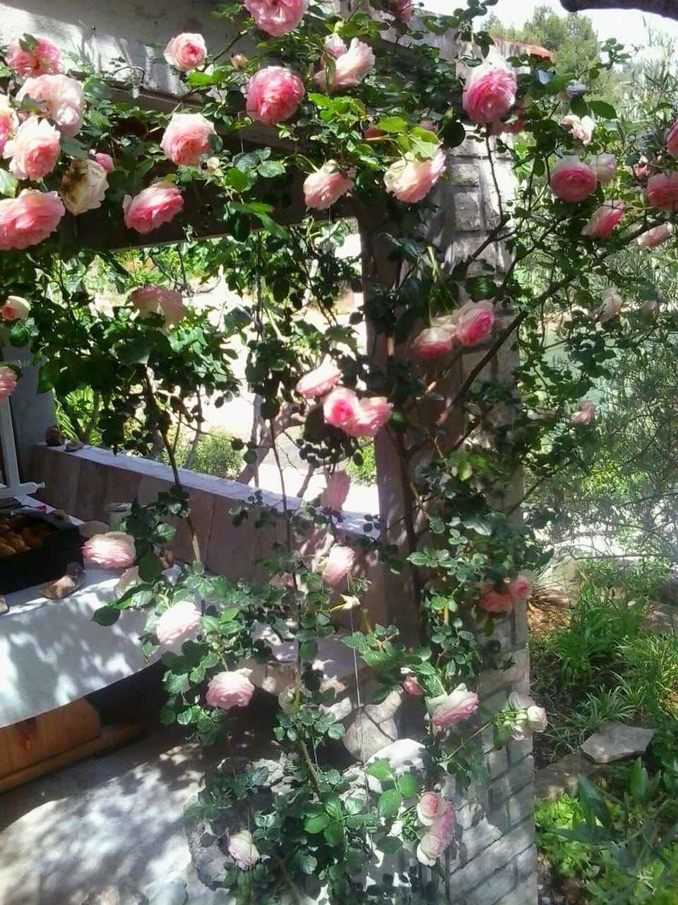 House (One Bedroom Holiday Home) | Terrace/patio