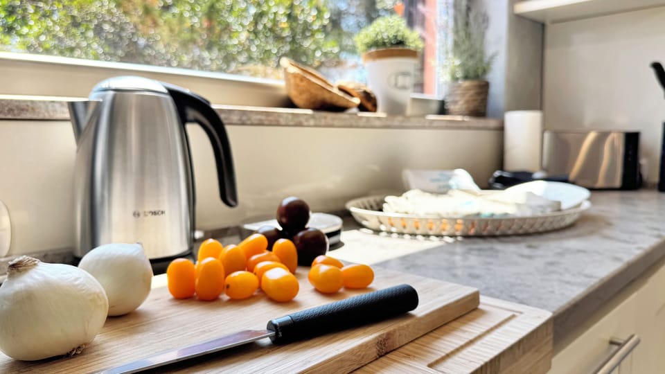 Full-size fridge, microwave, dishwasher, electric kettle