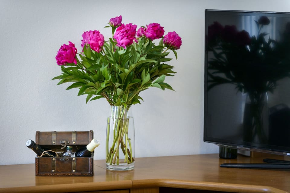 Apartment (Two Bedroom Apartment) | Interior detail